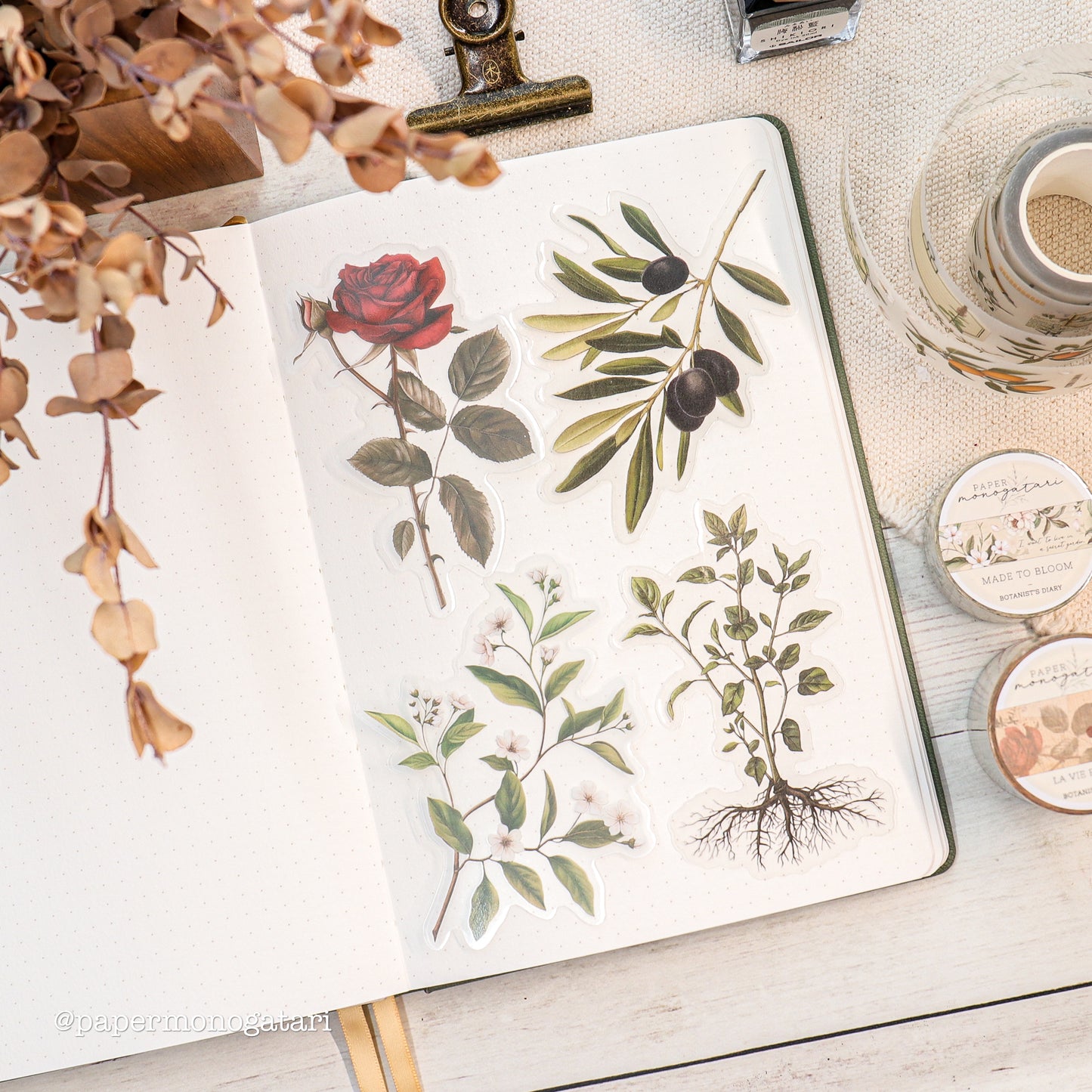 Botanist's Diary Collection Box