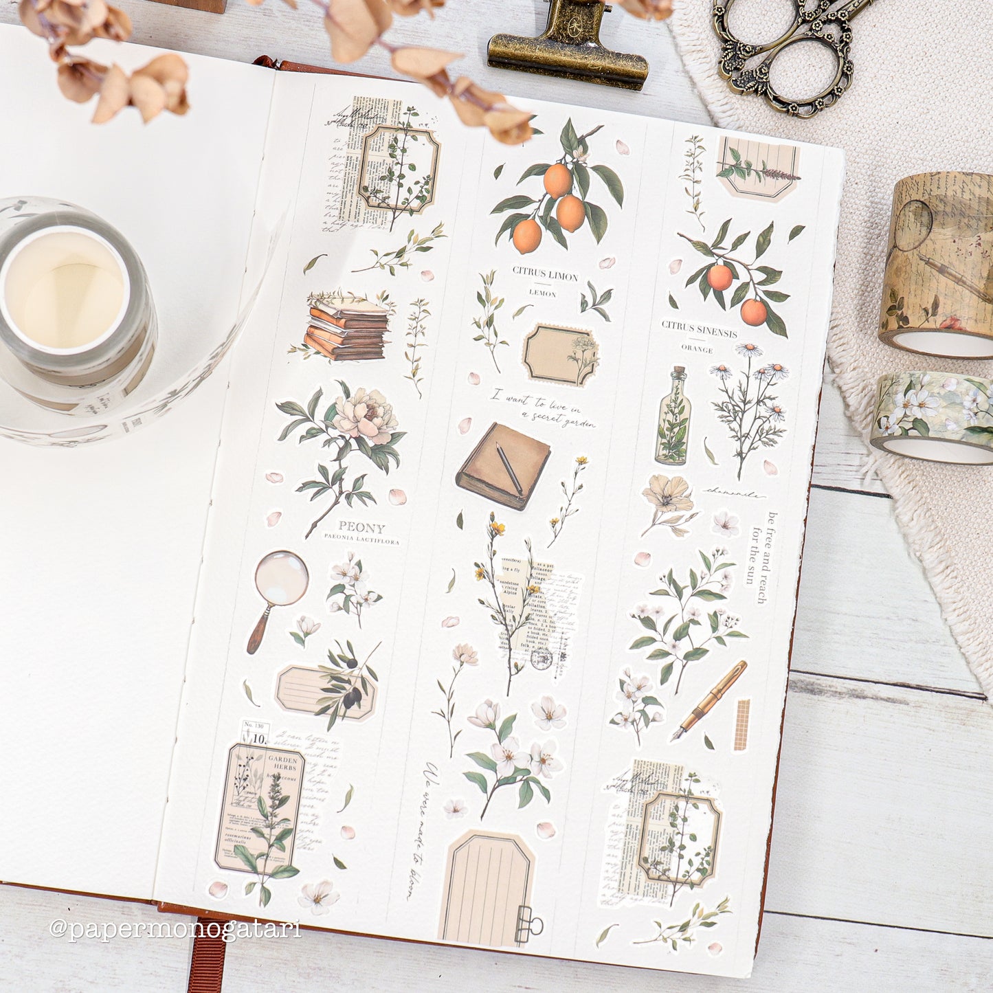 Botanist's Diary Collection Box