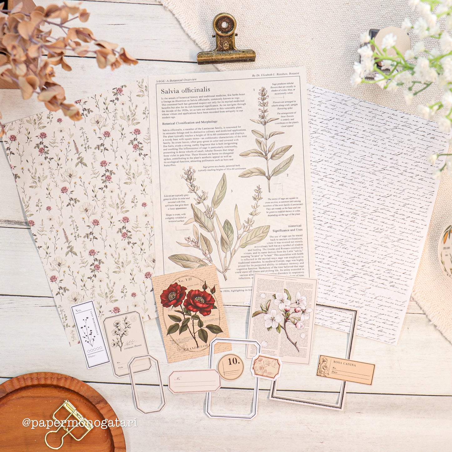 Botanist's Diary Paper Kit