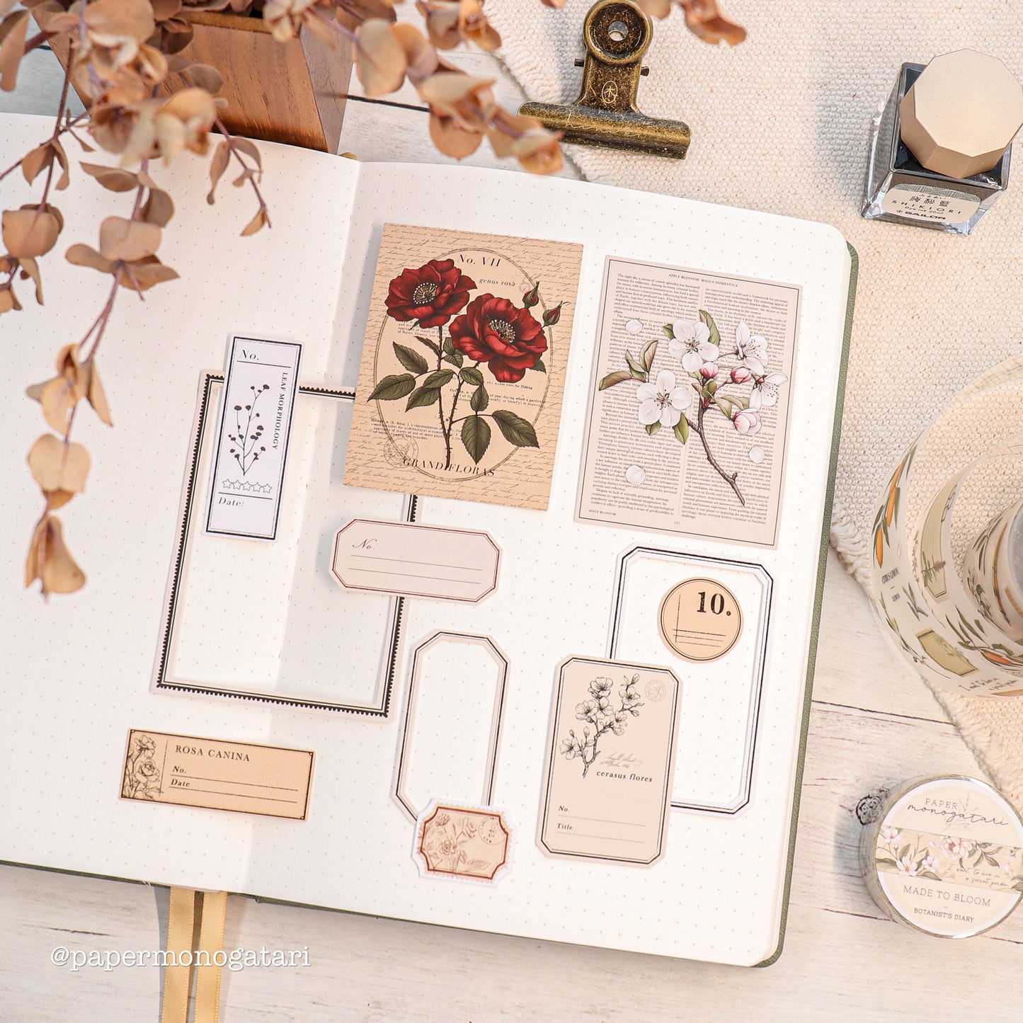 Botanist's Diary Paper Kit