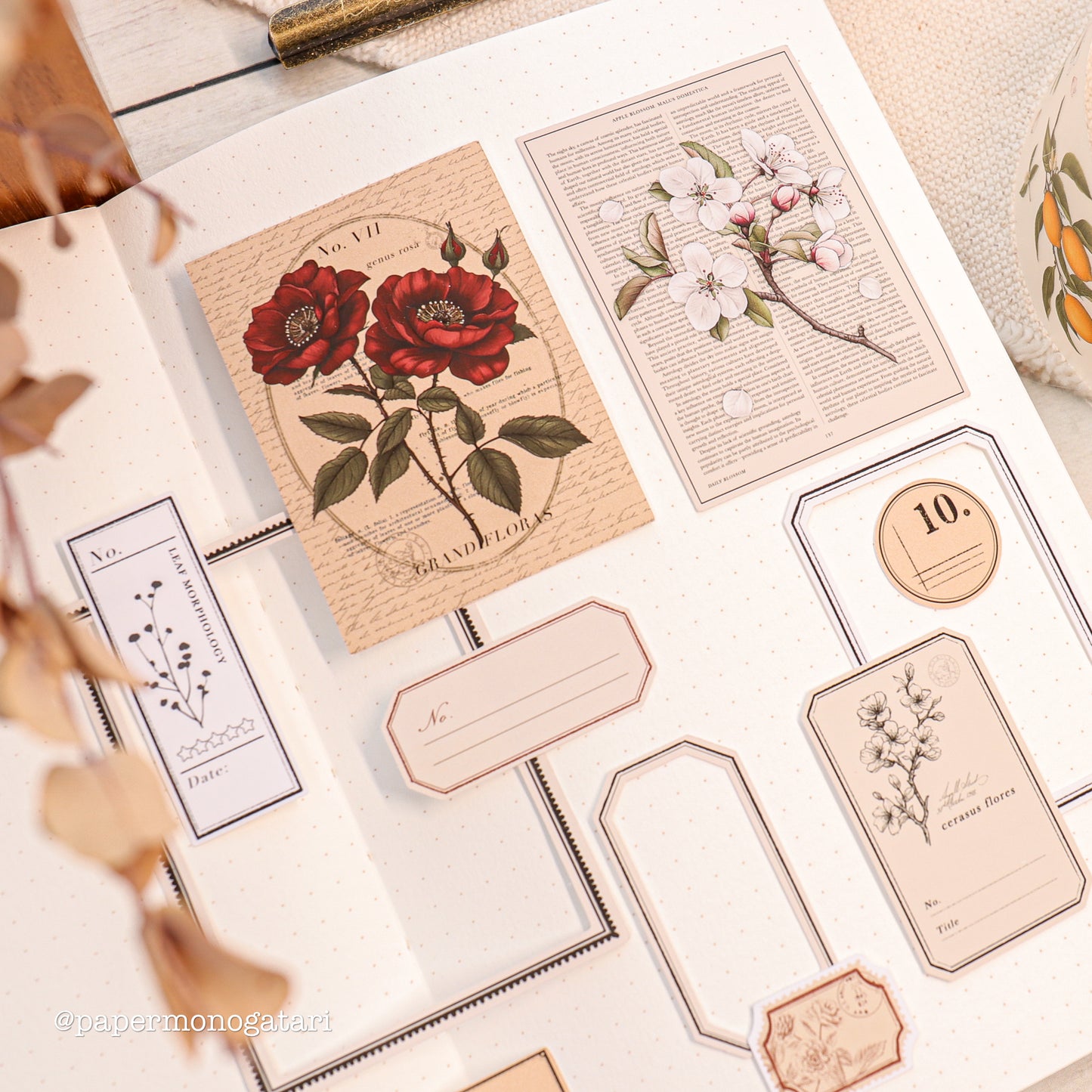 Botanist's Diary Paper Kit