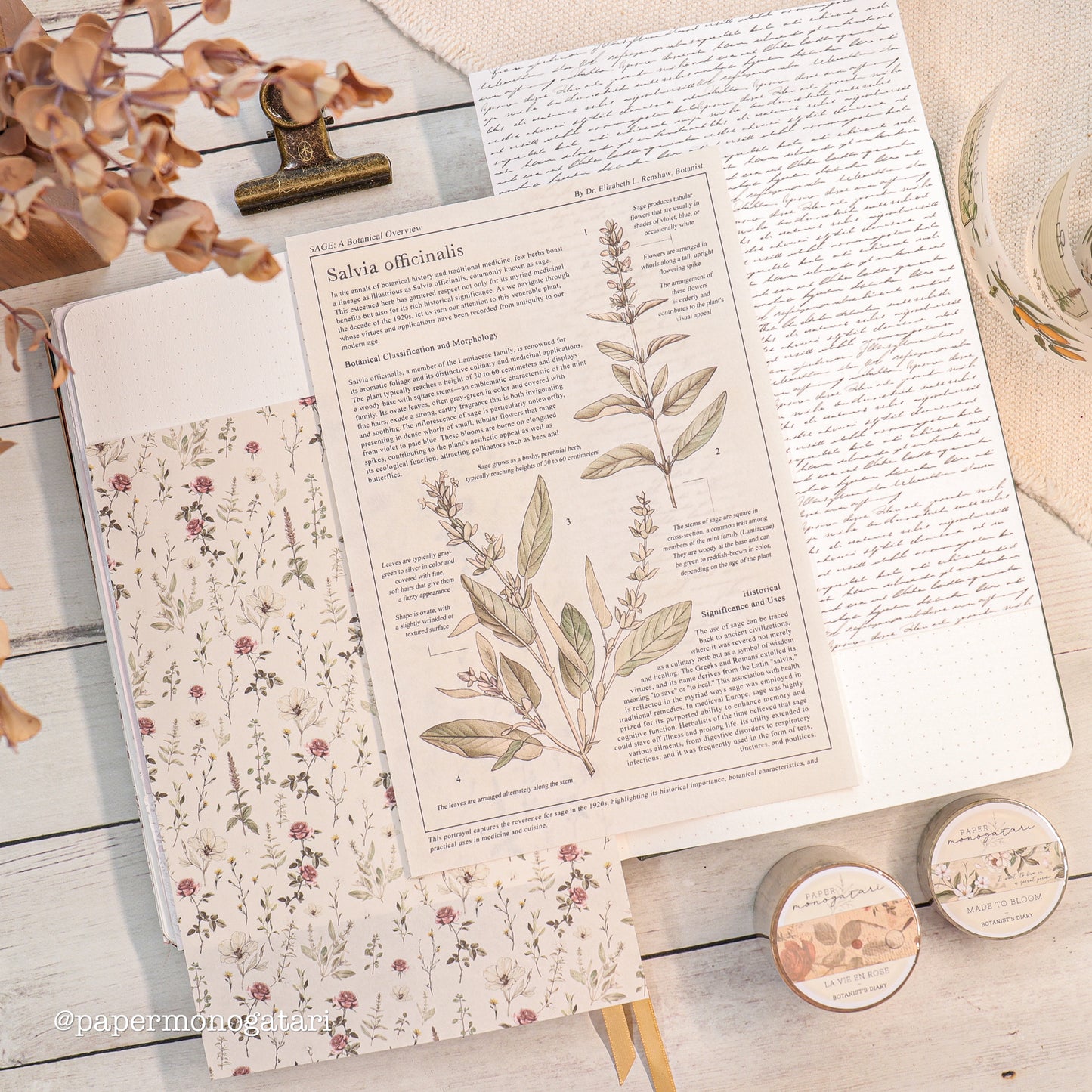 Botanist's Diary Paper Kit