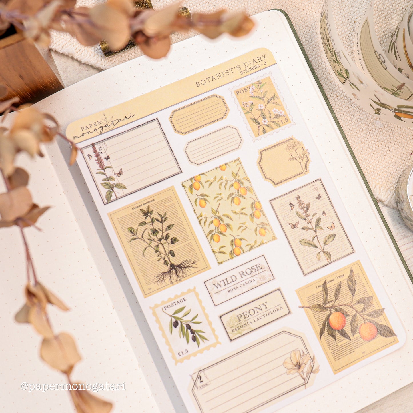 Floral Tag Stickers - Botanist's Diary #2