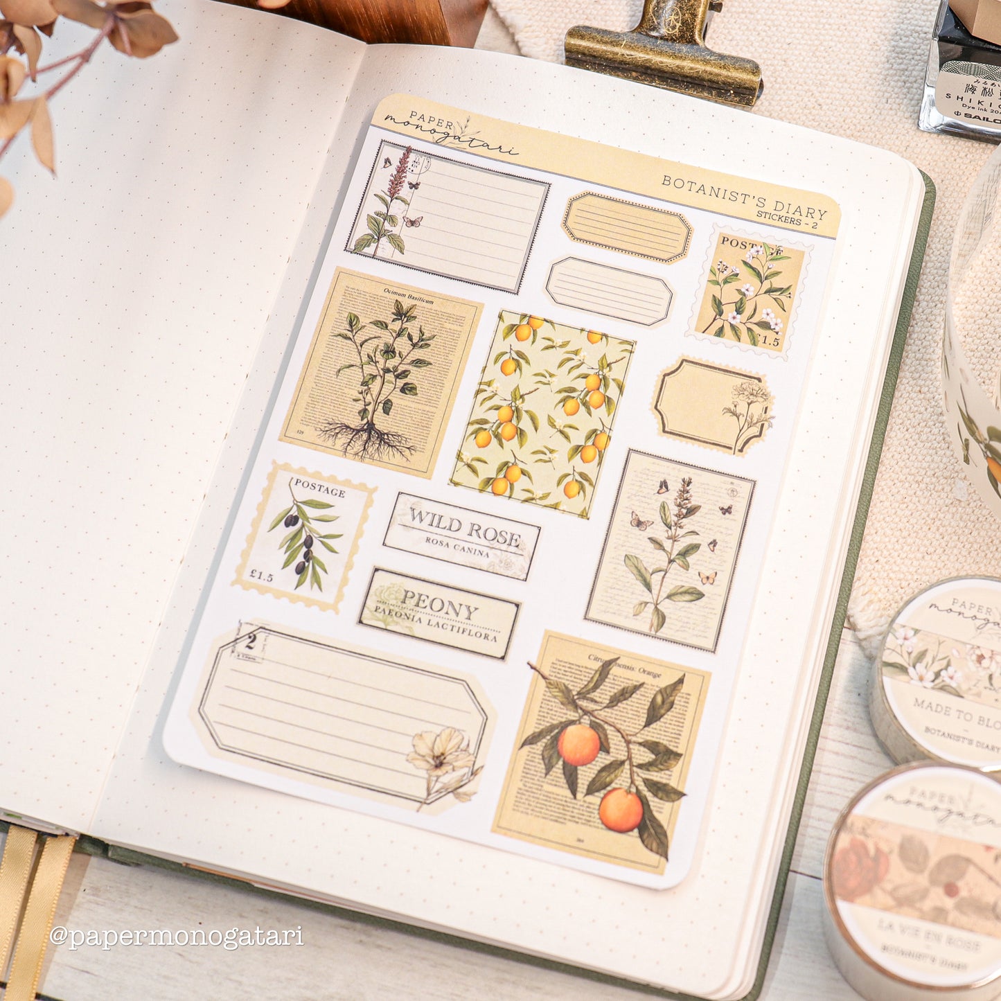 Botanist's Diary Collection Box