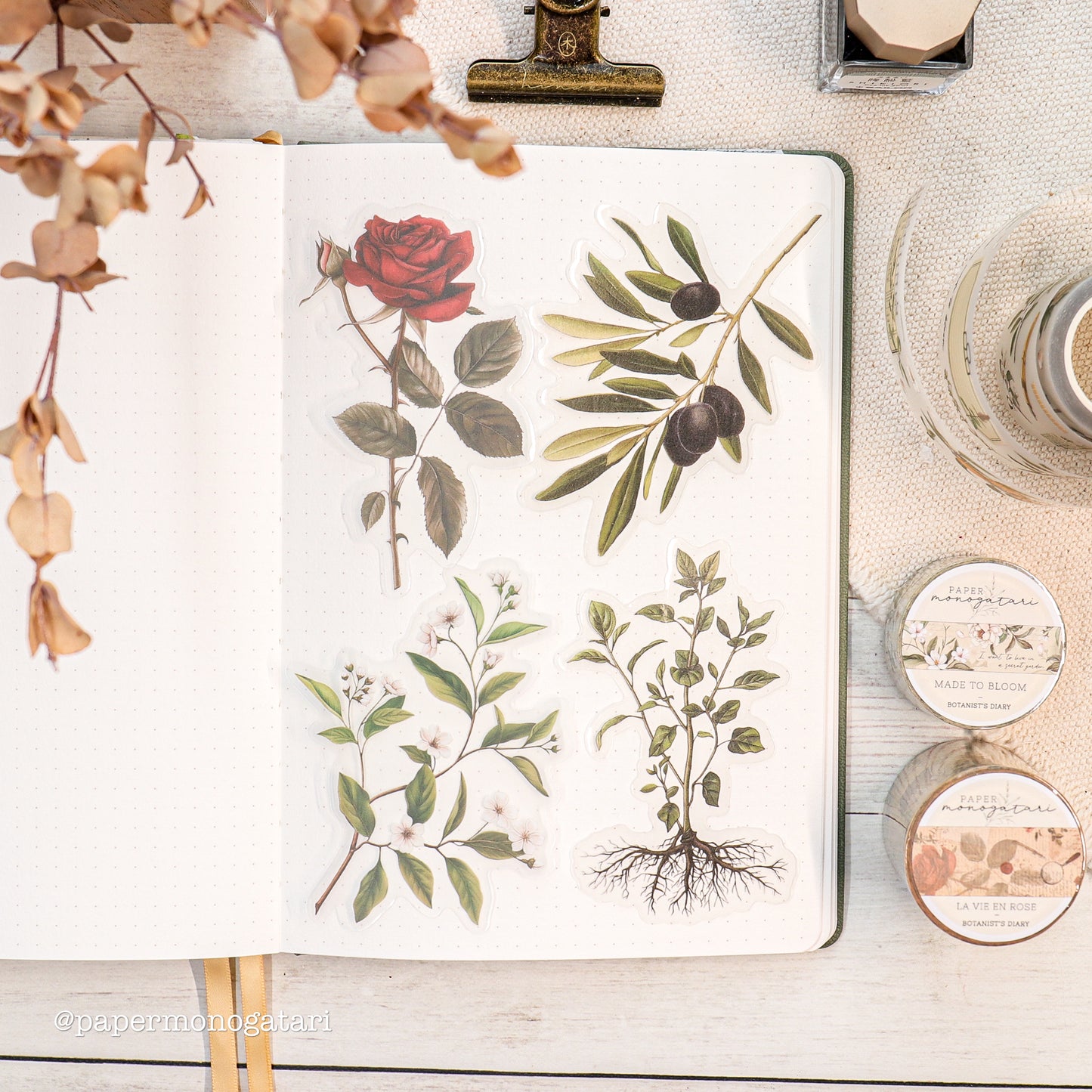 Botanist's Diary Clear Botanical Stickers