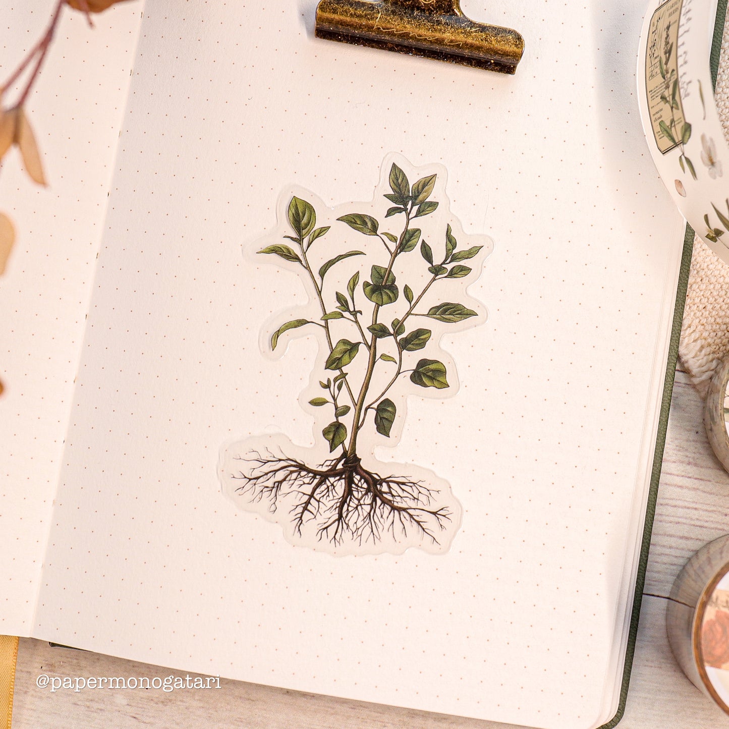 Botanist's Diary Clear Botanical Stickers