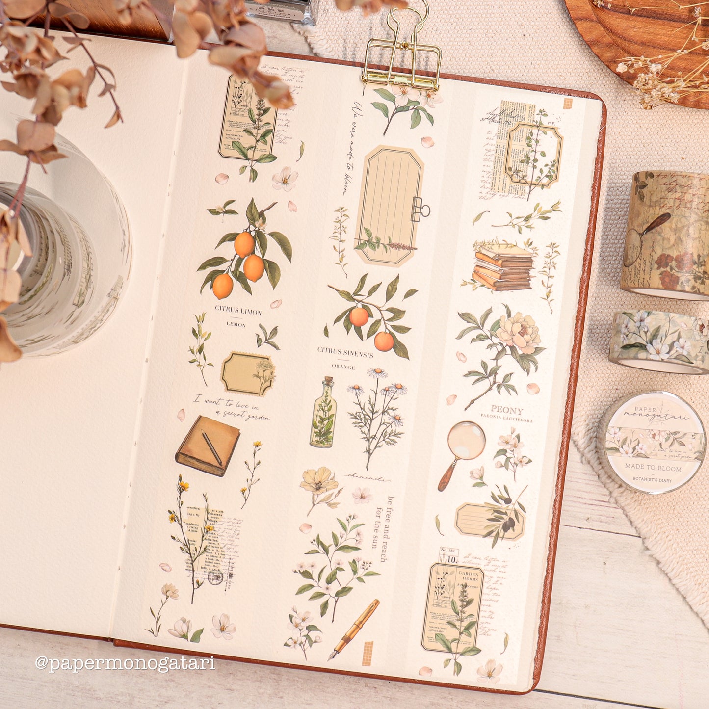 Botanist's Diary PET Tape