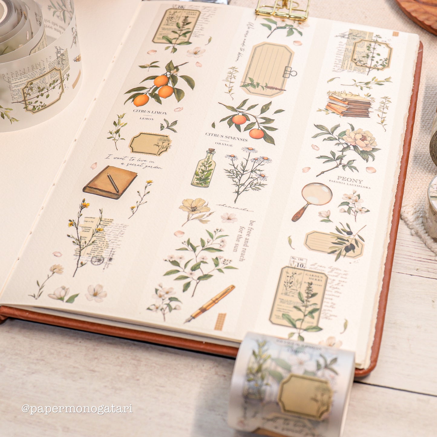 Botanist's Diary PET Tape